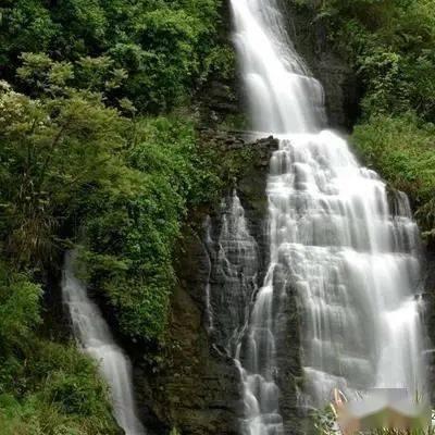 春运热门!哈尔滨成最热门候补票目的地